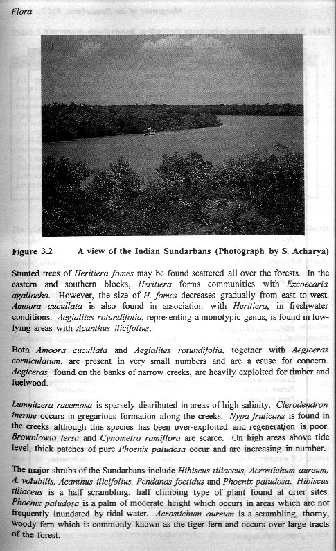 Mangroves of the Sundarbans - Volume I - aus dem Buch